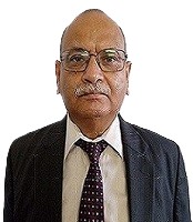 Team Member 2